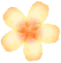 05.png 05.png